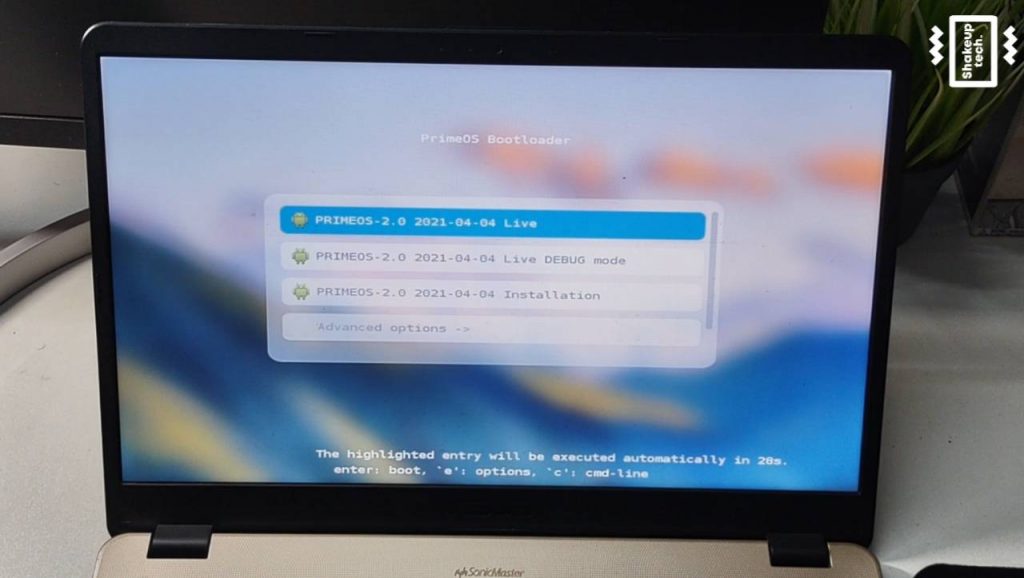 install and dual boot prime os