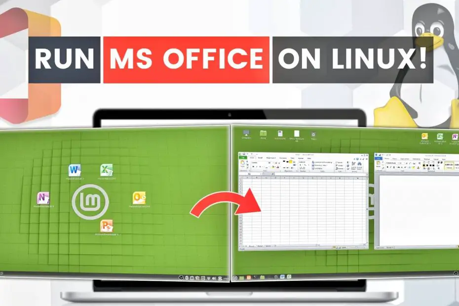 install microsoft office on linux