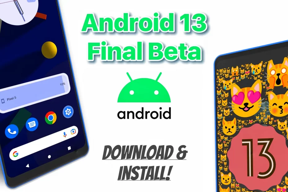 android 13 final beta 4 install on your phone