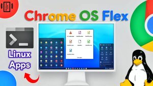 linux on chrome os flex