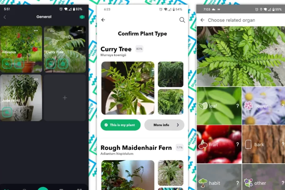 best plant identification apps for android shakeuptech