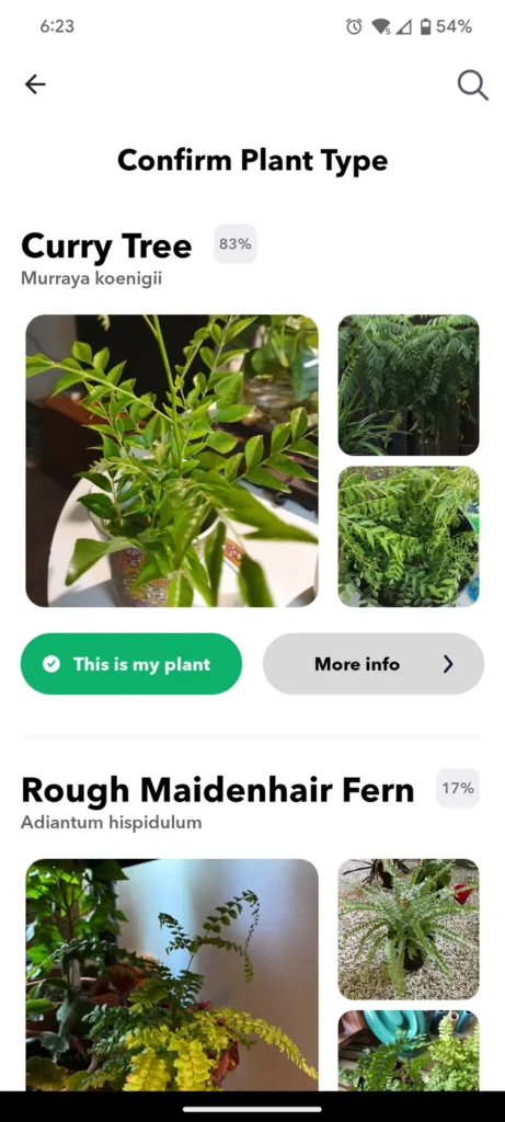 Plant Identifier by Greg - Best Plant Identification Apps for Android