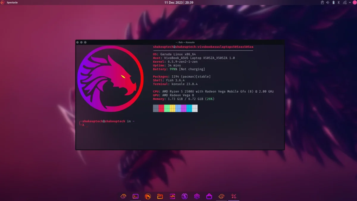 Garuda Linux dragonized edition install and review