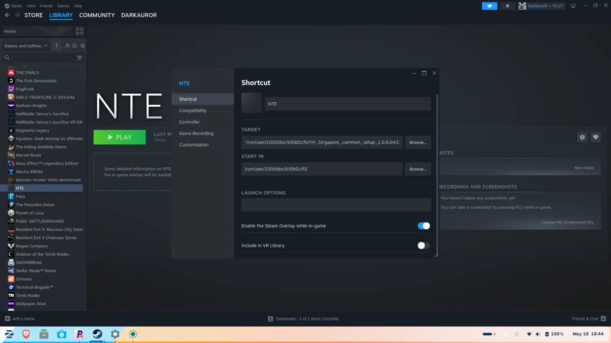 NTE Steam options